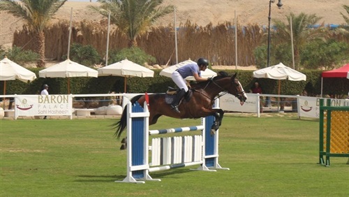 منافسات الفروسية 