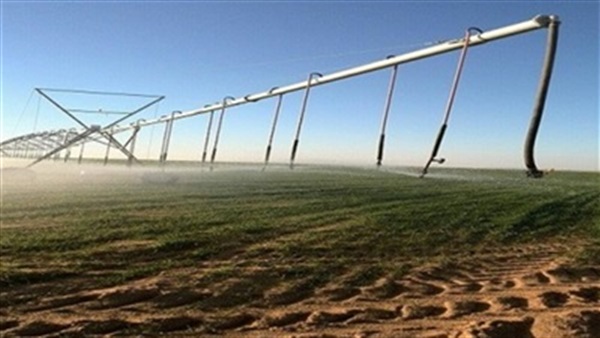 أراضي المليون ونصف المليون فدان - صورة أرشيفية أراضي المليون ونصف المليون فدان - صورة أرشيفية