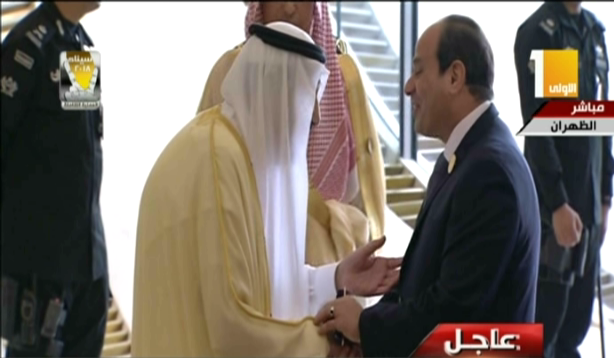 صورة من الحدث 