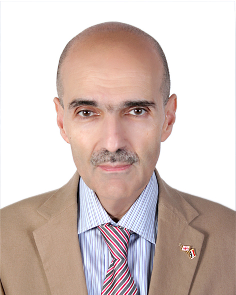 الكسندر نالباندوف - سفير جورجيا بالقاهرة