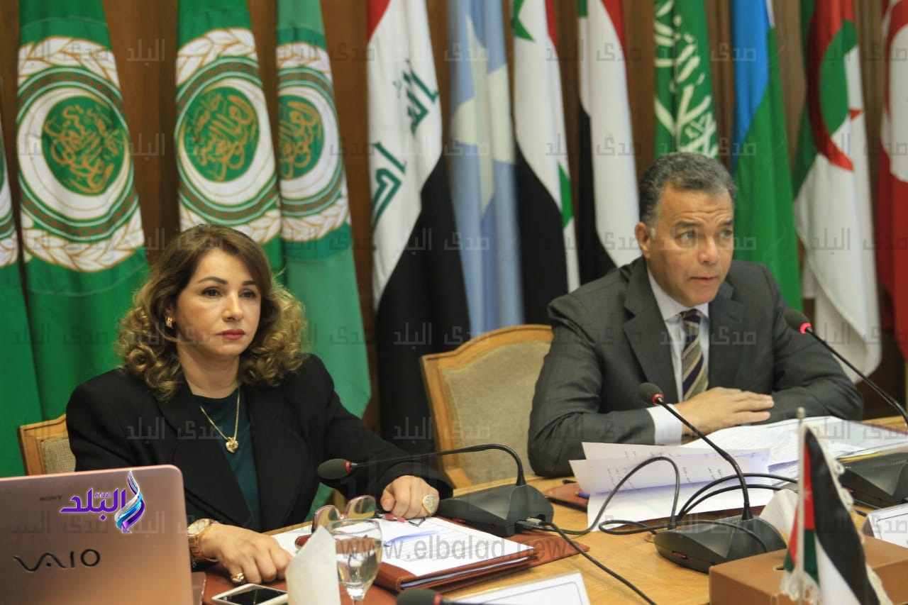  وزير النقل خلال مشاركته في اجتماع مجلس وزراء النقل العرب