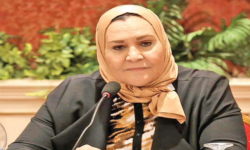 لنائبة عبلة الهواري،عضو اللجنة التشريعية بمجلس النواب