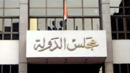 مجلس الدولة