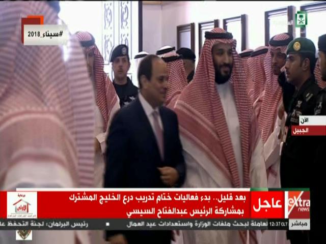الرئيس السيسي وولي العهد السعودي الرئيس السيسي وولي العهد السعودي
