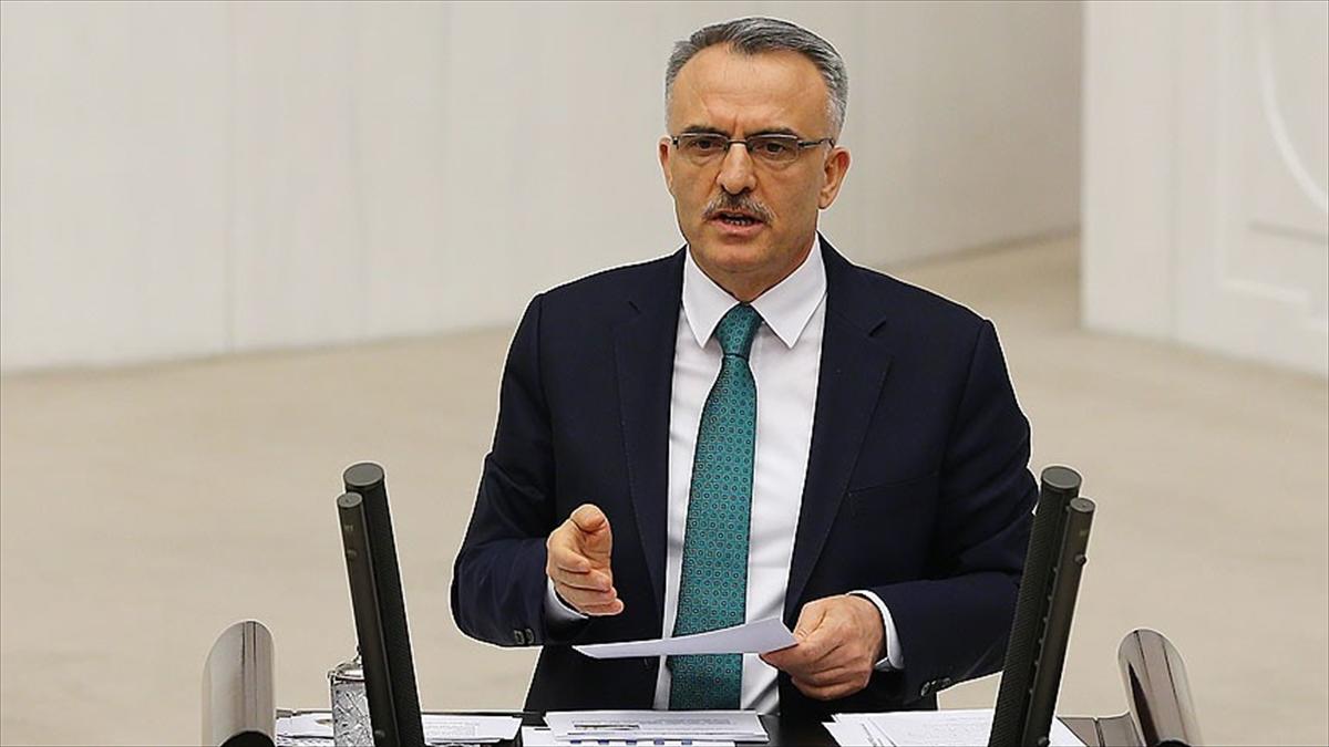 وزير المالية التركي 