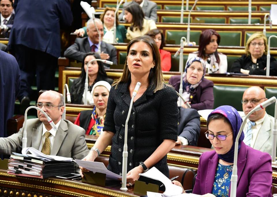 وزيرة الاستثمار والتعاون الدولي وزيرة الاستثمار والتعاون الدولي