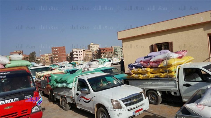 توريد قمح توريد قمح