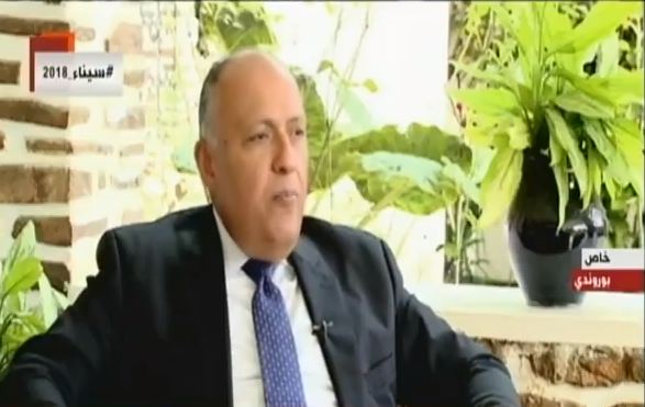 سامح شكري وزير الخارجية 