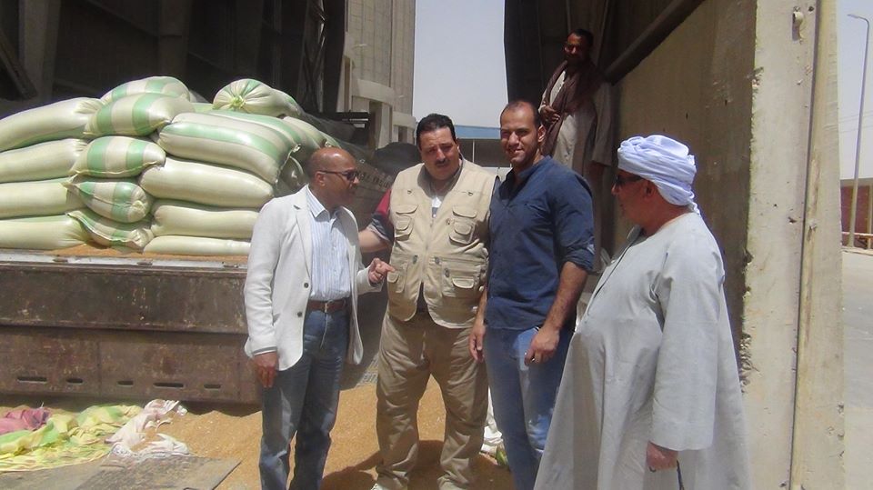 توريد القمح توريد القمح