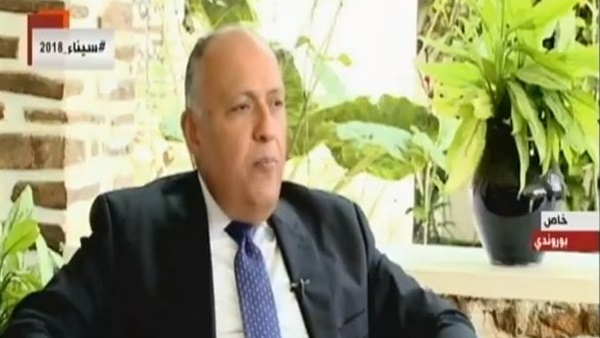 سامح شكري وزير الخارجية