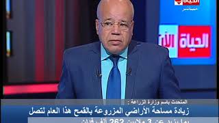 الدكتور حامد عبدالدايم
