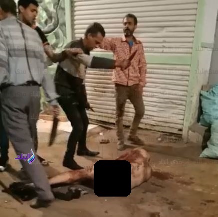صورة من الواقعة صورة من الواقعة