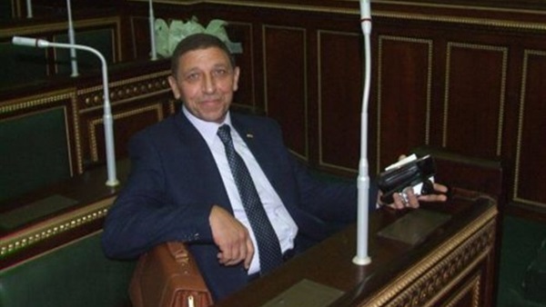 النائب هشام والى