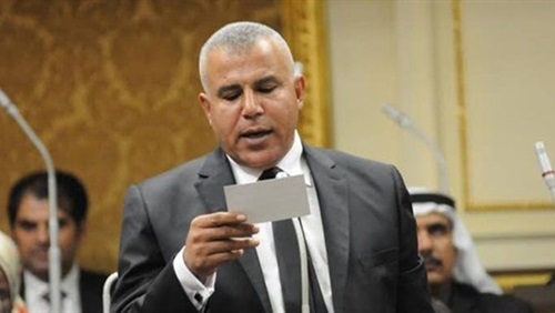 النائب نعمان أحمد فتحى