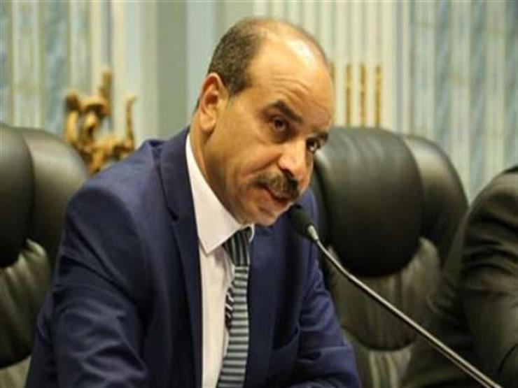 النائب هشام الشعينى، رئيس لجنة الزراعة