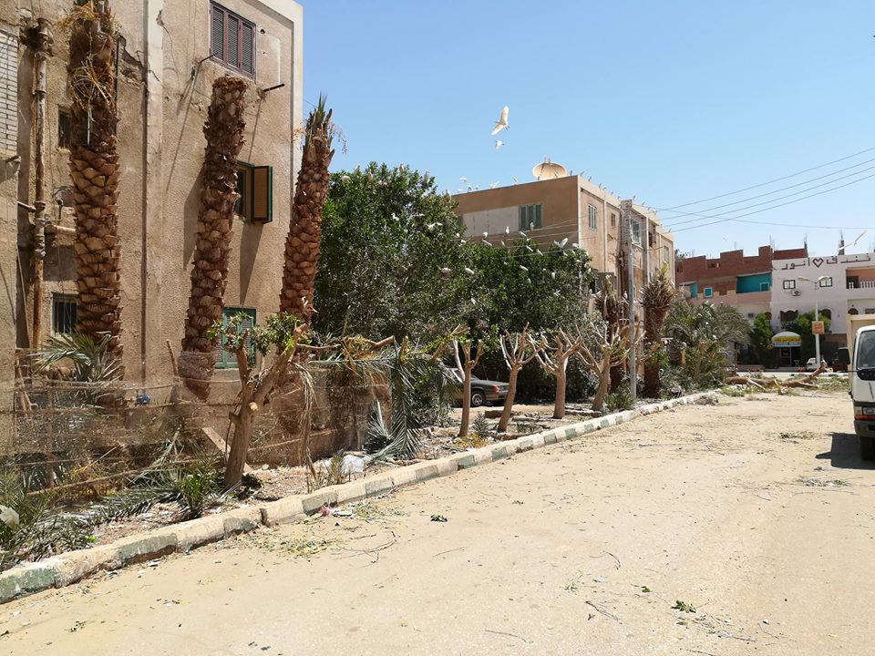 محافظة الوادي الجديد