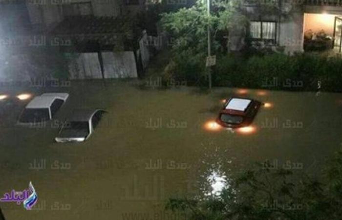 الدكتور محمد عبد العاطي الدكتور محمد عبد العاطي
