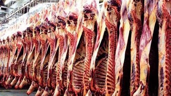 مجزر - أرشيفية