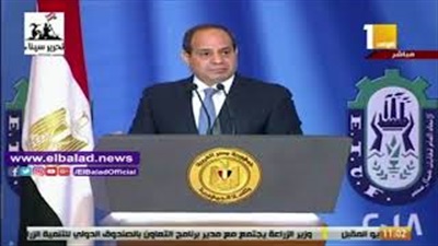 الرئيس عبد الفتاح السيسى