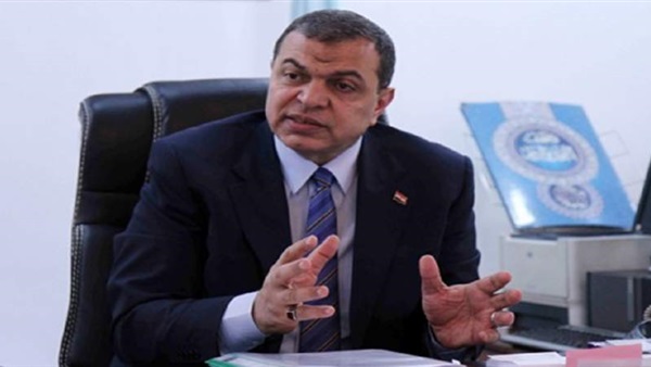 محمد سعفان وزير القوى العاملة