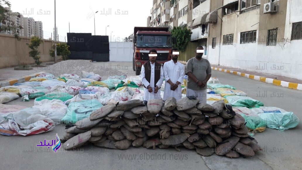 المتهمين والمضبوطات