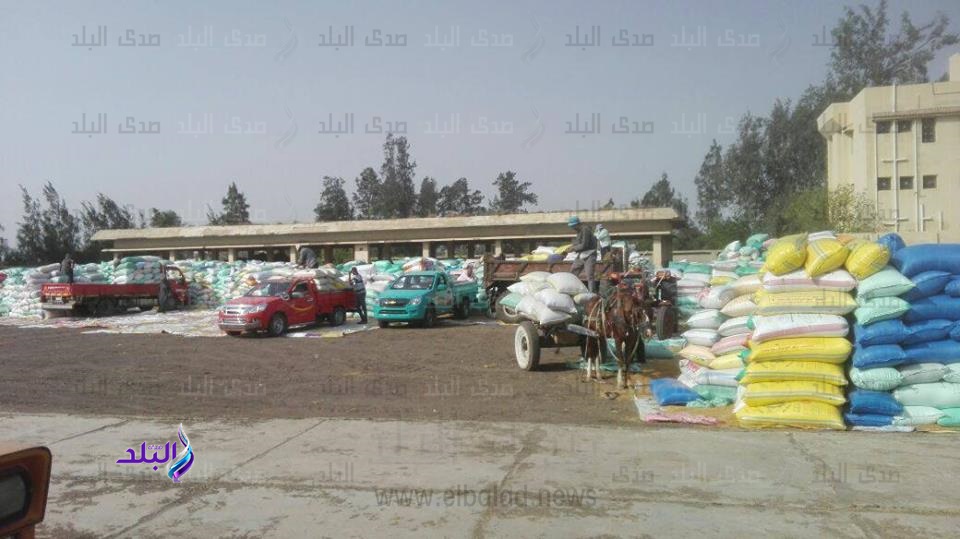 توريد القمح