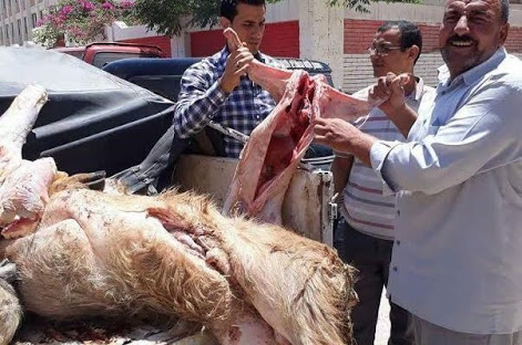 صورة أرشيفية صورة أرشيفية