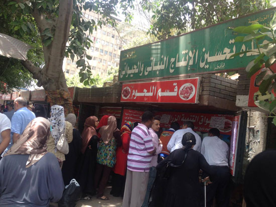 صورة أرشيفية صورة أرشيفية