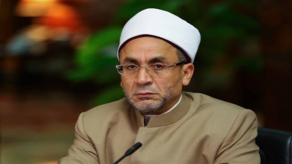 الدكتور محيي الدين عفيفي الدكتور محيي الدين عفيفي
