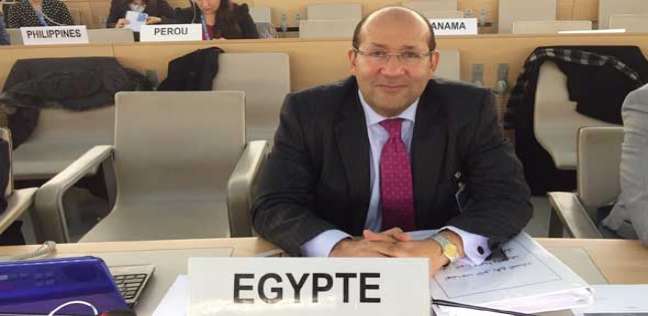 السفير هشام بدر 