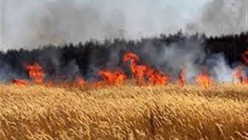 النيران - ارشيفية