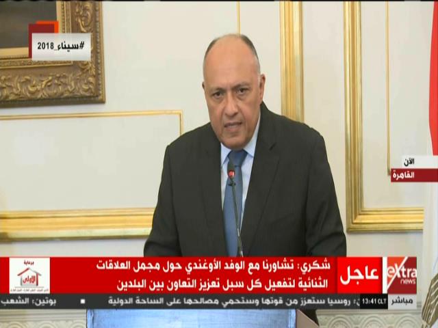 سامح شكري - وزير الخارجية المصري