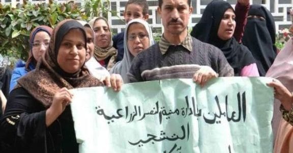 عمال التشجير عمال التشجير