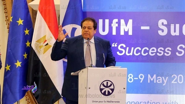 محمد أبو العينين، رئيس مجلس الأعمال المصري الأوروبي