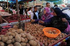 صورة أرشيفية  صورة أرشيفية