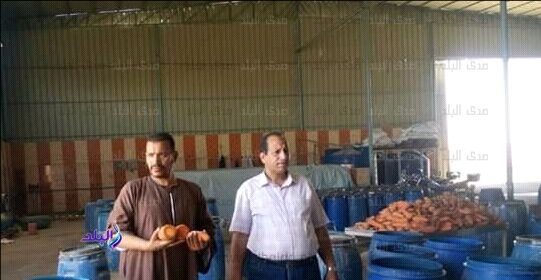 معامل مخللات معامل مخللات