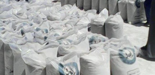 ملح فاسد ملح فاسد
