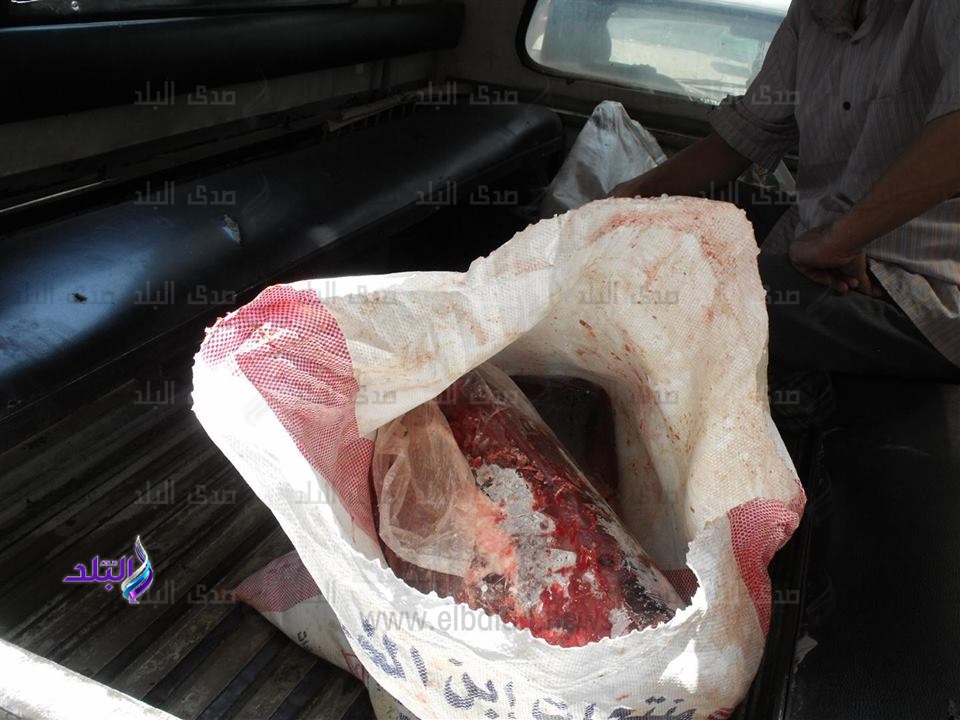  لحوم مفرومة غير صالح للاستخدام الأدمى