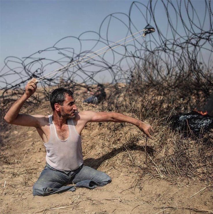 الشهيد الفلسطيني فادي أبو صلاح الشهيد الفلسطيني فادي أبو صلاح