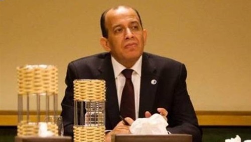 المستشار محمد عبد المحسن