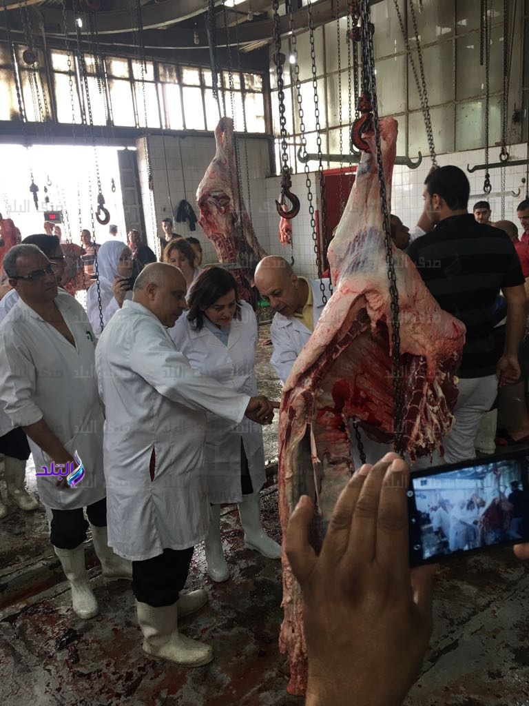 الوفد النيوزيلاندي برفقة الدكتورة منى محرز