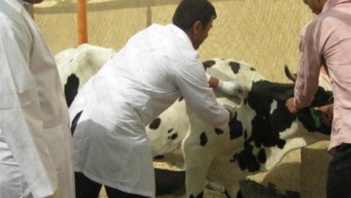 أرشيفية