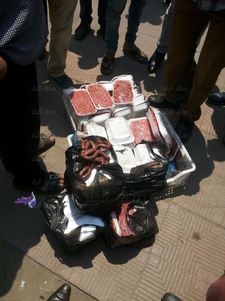  ضبط كمية من اللحوم مجهولة المصدر بالمعادي..صور 