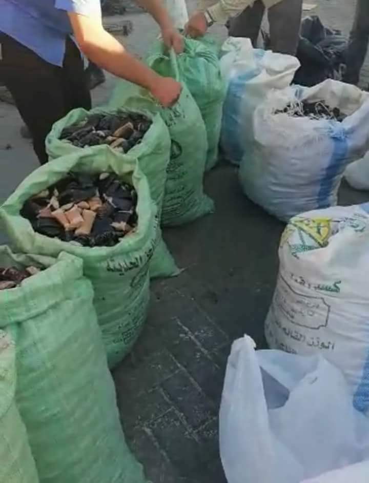 حشيش- ارشيفية 