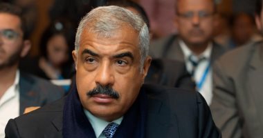 هشام طلعت مصطفى 