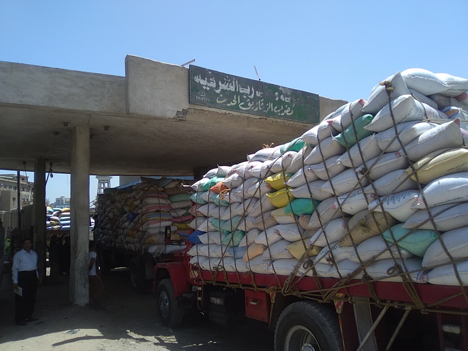 توريد قمح توريد قمح