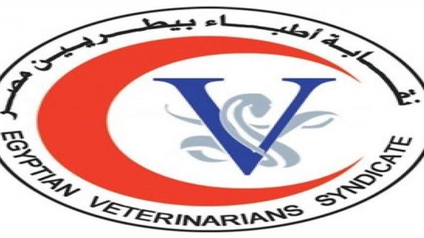صورة أرشيفية صورة أرشيفية