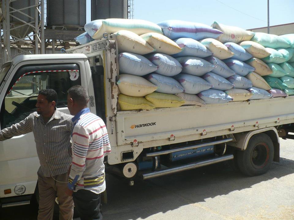 توريد قمح