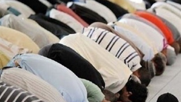 أرشيفية أرشيفية