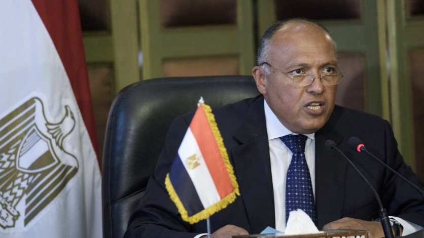 سامح شكري وزير الخارجية